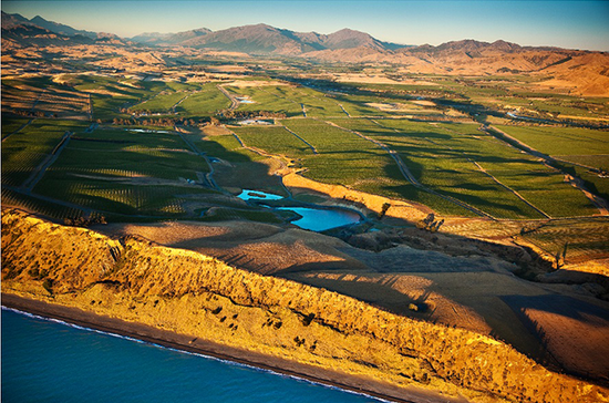 新西兰马尔堡(Marlborough)伊兰酒庄(Yealands Estate)Seaview葡萄园的景色。照片来源:伊兰酒庄