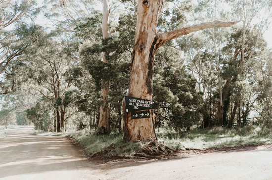 Entrance to the Place of Changing Winds winery in Mt Macedon, Victoria. Credit: Kate Shanassey